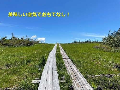 尾瀬の風景