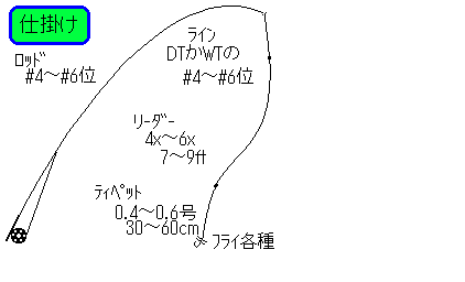 ���̃t���C�̎d�|���}