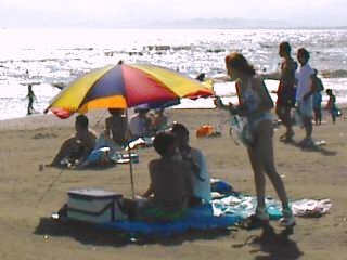 $B9>%NEg3$4_$G$N(BIDO$B%-%c%s%Z!<%s(B(1)