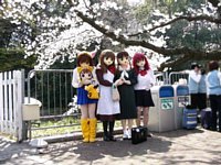 ���̉���