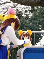 ���̉���