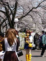 ���̉���