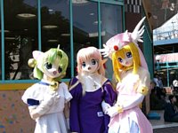 �Y�R�J���̊F����