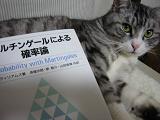 a cat in probability