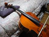 cello in bed