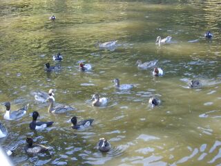 �������̂P