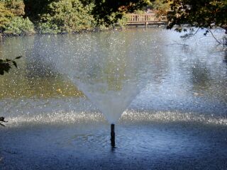 �������̂Q