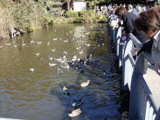 �������̂R