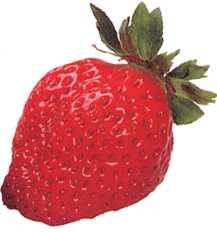 �C�`�S