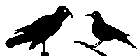 ��
