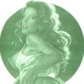 �J���C�C�[