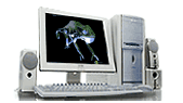 �p�\�R��