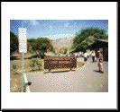 Diamond Head