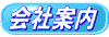 ��Јē�