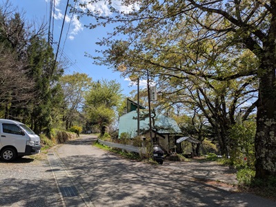 庭