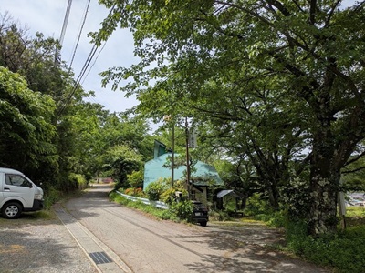 庭