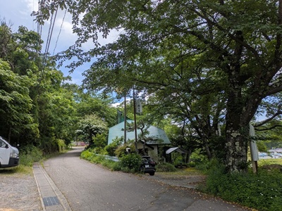 庭