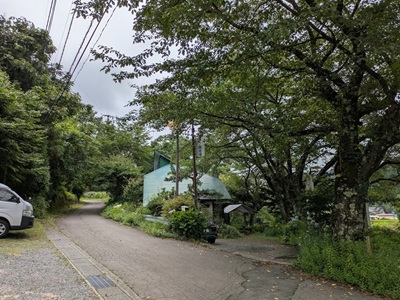庭