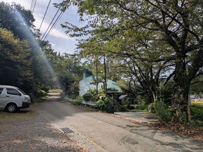 庭