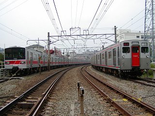 7753,7007