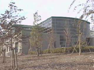 �܂��Â���𗬊�