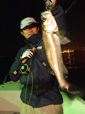 SEABUSS