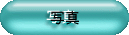��㒆�S�̎ʐ^