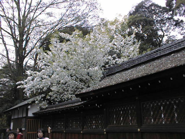 ���U