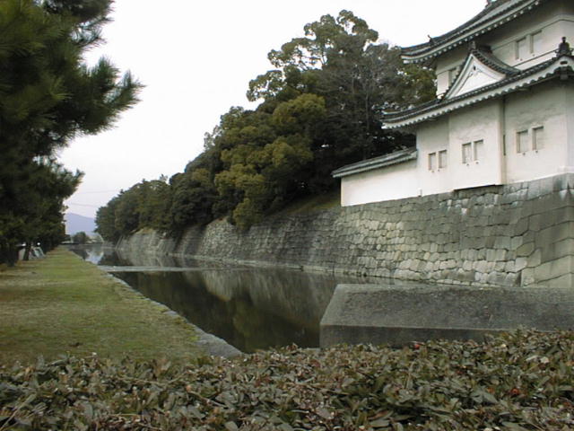 �쑤�̌@��