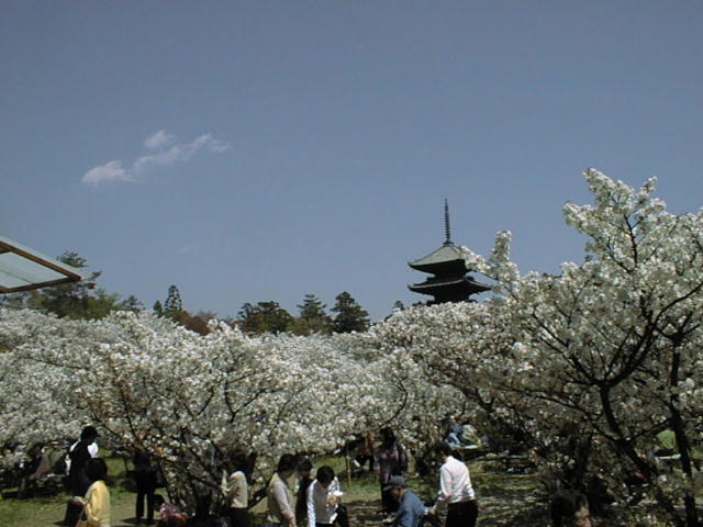 �܏d�� View from ��