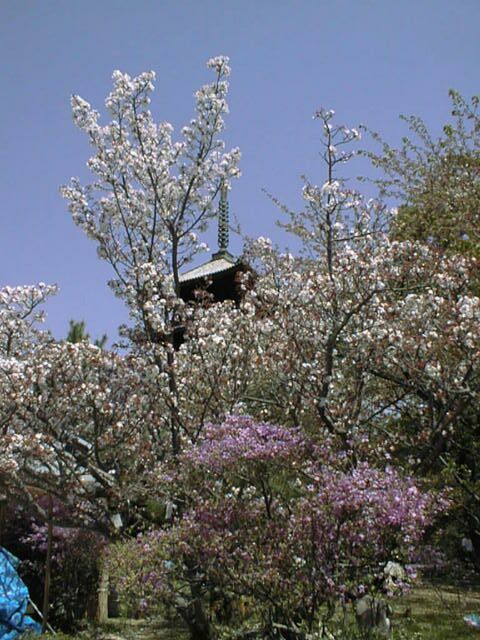 ���z���܏d�� View from ���쐼