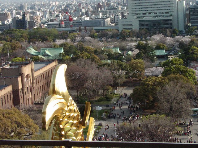 �V�炩��̒���