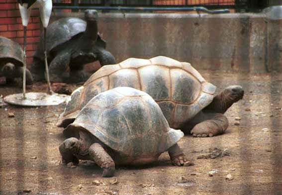 �K���p�S�X�]�E�K��