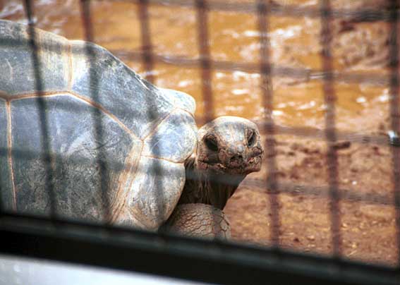 �K���p�S�X�]�E�K���u�Ă񂾁H�v