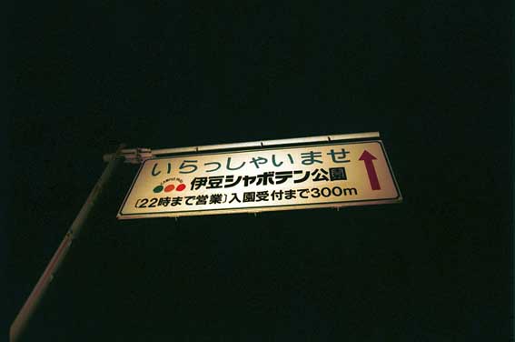 �V���{�e������������̒ǂ��ł���������Ŕ�