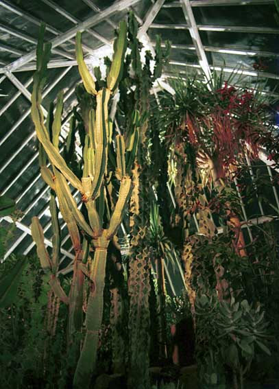 �T�{�e���R