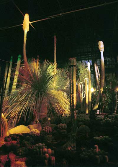 �T�{�e���S