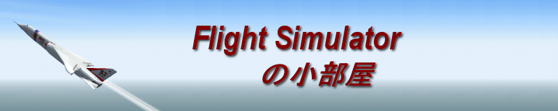 FlightSimulatioȑ