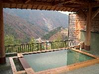 �I�V���C�ʐ^