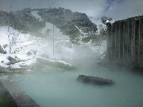 ��������I�V�ʐ^