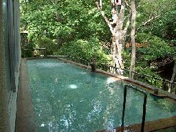 �����I�V���C