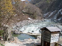 �I�V���C�ʐ^