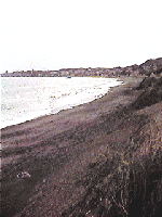 久里浜砂浜