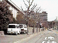 通研前の道路1