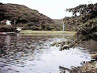 小網代湾干潟2
