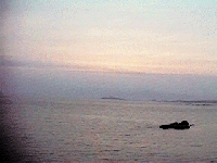 夕日2
