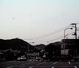 長者ヶ崎(北)