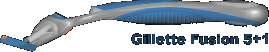 Gillette Fusion 5+1