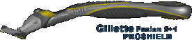 Gillette ProSheild
