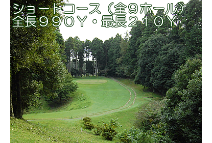 千葉のゴルフ練習場 ダイナミックゴルフ千葉『ショートコース』